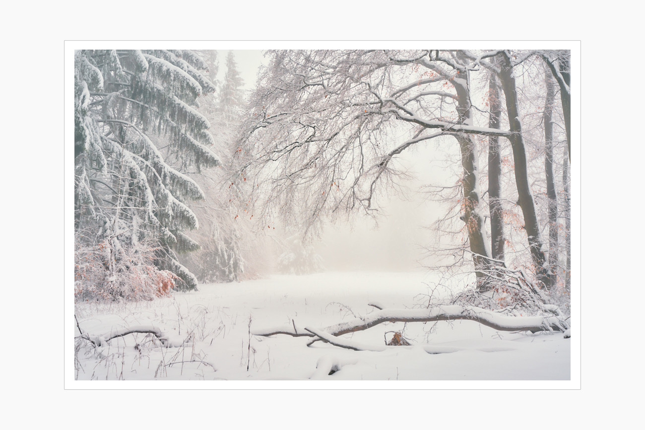 Max Schiefele Alle Bilder DS200008 PRINT